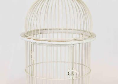 vuokrasomiste, annenpartydeco, somiste, vuokratuote, vuokrattavat juhlatarvikkeet, lintuhäkki